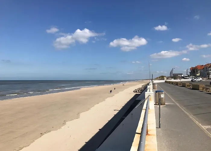 Petale De Rose A Merlimont